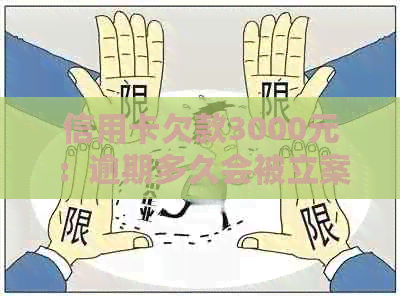 信用卡欠款3000元：逾期多久会被立案？可能的影响与应对策略