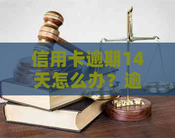 信用卡逾期14天怎么办？逾期后果、解决方案及应对策略全解析！