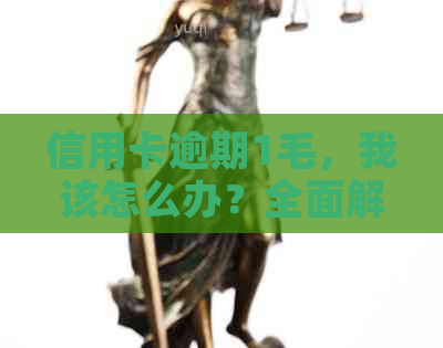 信用卡逾期1毛，我该怎么办？全面解决方案与应对策略