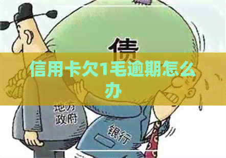 信用卡欠1毛逾期怎么办