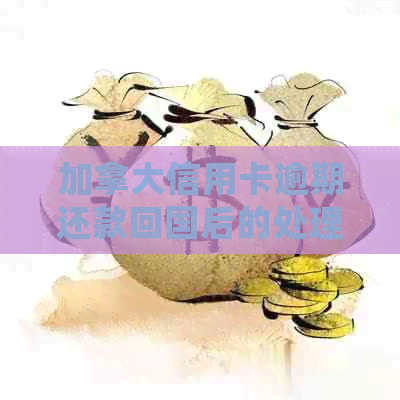 加拿大信用卡逾期还款回国后的处理方法及相关手续全解析
