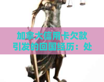加拿大信用卡欠款引发的回国经历：处理策略与教训