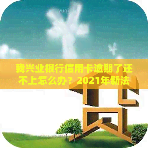 我兴业银行信用卡逾期了还不上怎么办？2021年新法规解析
