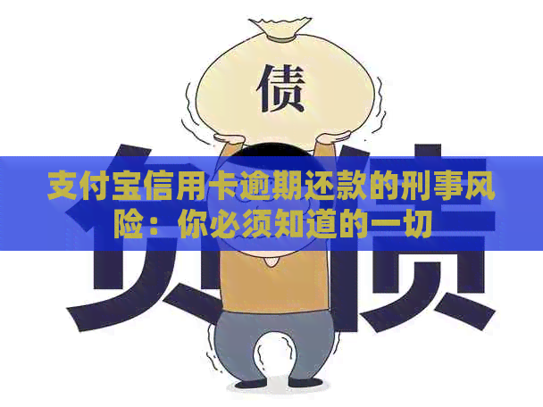 支付宝信用卡逾期还款的刑事风险：你必须知道的一切