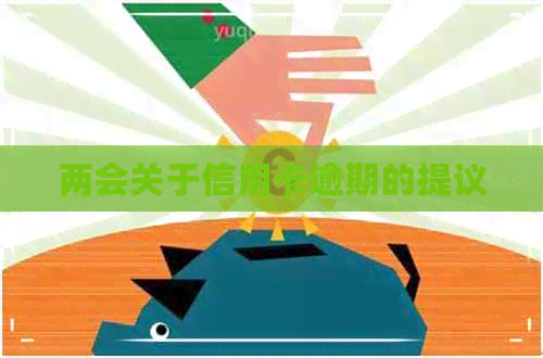 两会关于信用卡逾期的提议