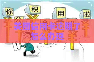美团信用卡逾期了怎么办理