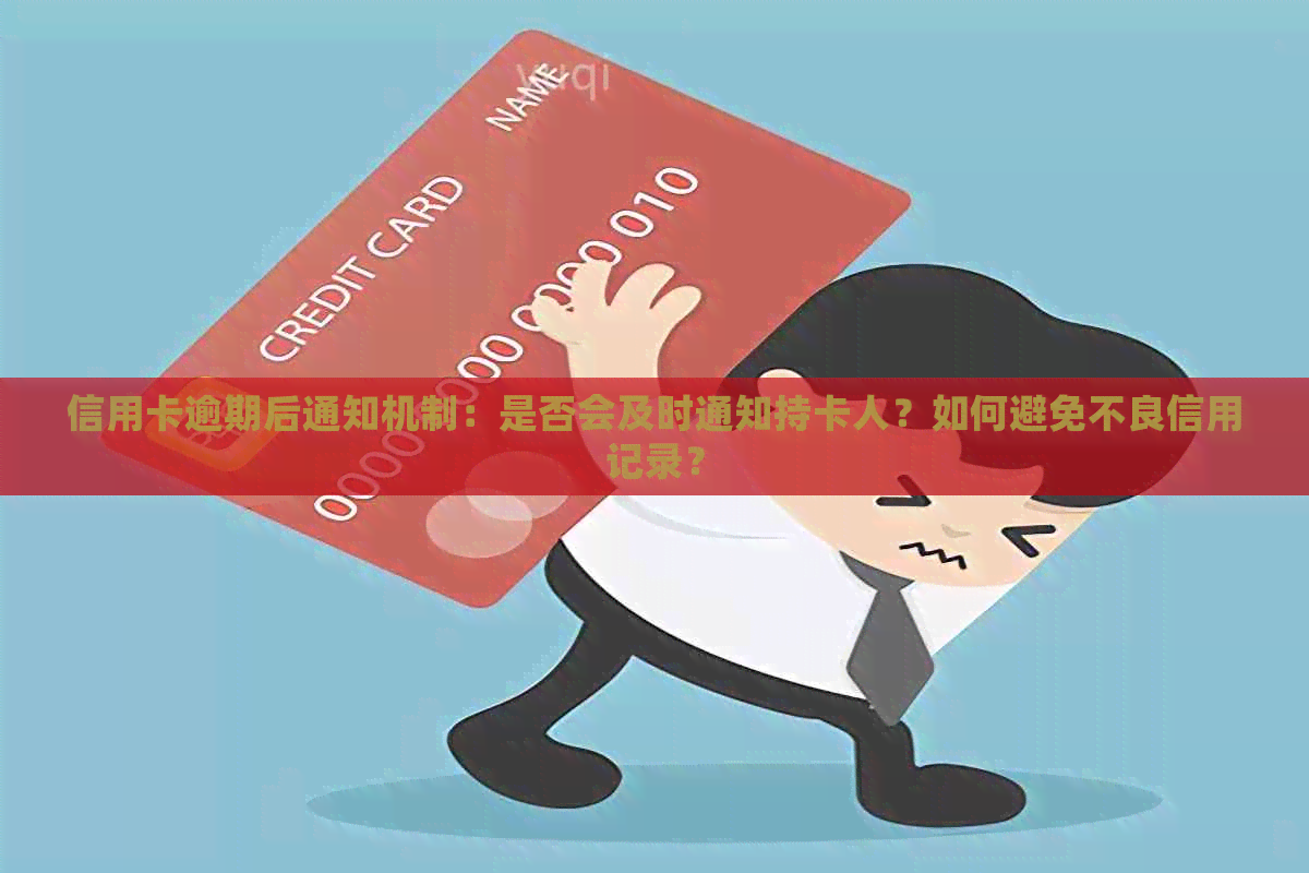 信用卡逾期后通知机制：是否会及时通知持卡人？如何避免不良信用记录？