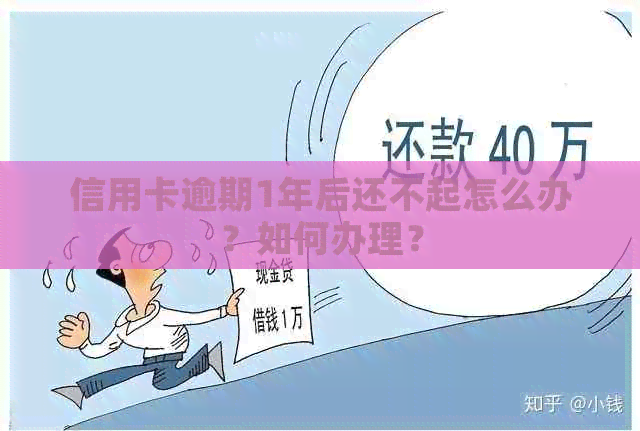 信用卡逾期1年后还不起怎么办？如何办理？