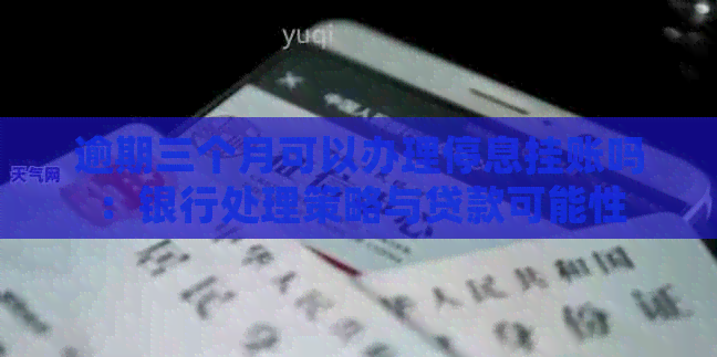 逾期三个月可以办理停息挂账吗：银行处理策略与贷款可能性