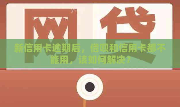 新信用卡逾期后，网贷和信用卡都不能用，该如何解决？
