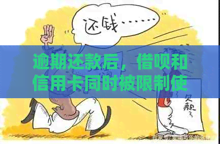 逾期还款后，网贷和信用卡同时被限制使用？揭秘原因及解决办法