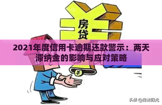 2021年度信用卡逾期还款警示：两天滞纳金的影响与应对策略