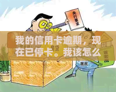 我的信用卡逾期，现在已停卡。我该怎么办？
