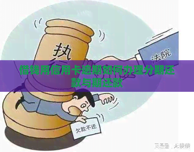 借钱用信用卡逾期如何办理分期还款与期还款