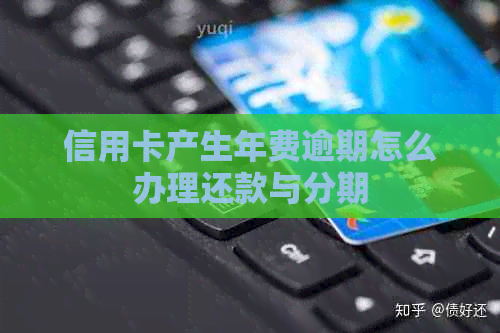 信用卡产生年费逾期怎么办理还款与分期