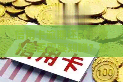 信用卡逾期还款：家人是否需要知晓？如何解决逾期问题并确保家庭财务安全？