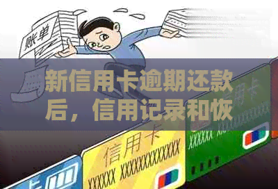 新信用卡逾期还款后，信用记录和恢复时间如何影响？