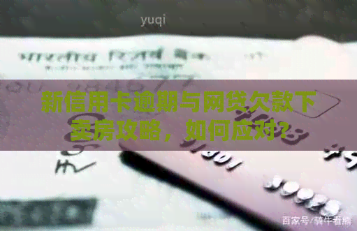 新信用卡逾期与网贷欠款下卖房攻略，如何应对？