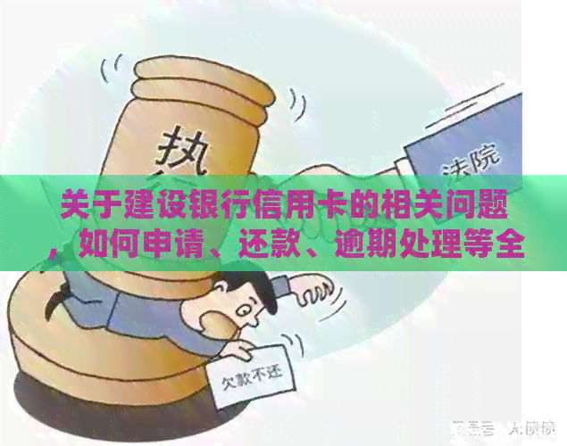 关于建设银行信用卡的相关问题，如何申请、还款、逾期处理等全面解答