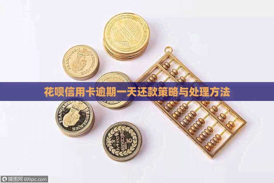 信用卡信用卡逾期一天还款策略与处理方法