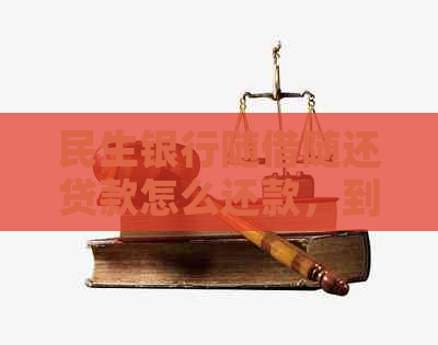 民生银行随借随还贷款怎么还款，到账时间与个人贷款详情入口