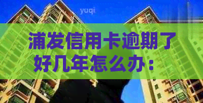 浦发信用卡逾期了好几年怎么办： 2021新法规，2020政策解读