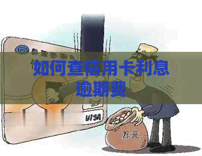 如何查信用卡利息逾期费