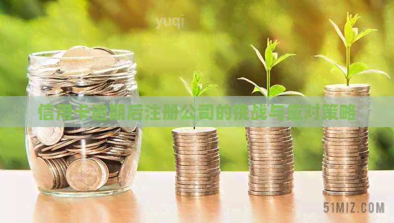信用卡逾期后注册公司的挑战与应对策略