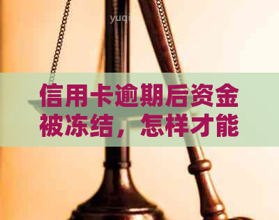 信用卡逾期后资金被冻结，怎样才能恢复正常使用？