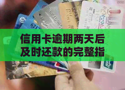 信用卡逾期两天后及时还款的完整指南：如何避免影响信用评分及解决问题