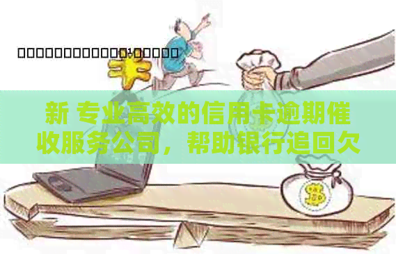 新 专业高效的信用卡逾期服务公司，帮助银行追回欠款