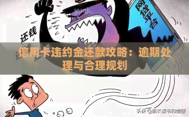 信用卡违约金还款攻略：逾期处理与合理规划