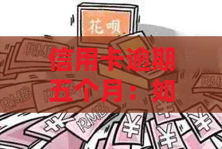 信用卡逾期五个月：如何摆脱黑户身份并解决问题？