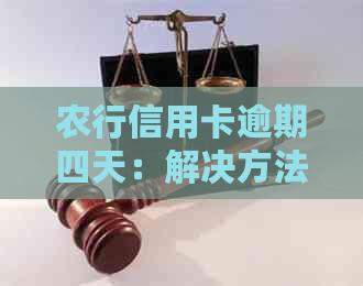 农行信用卡逾期四天：解决方法、影响与补救措全面解析