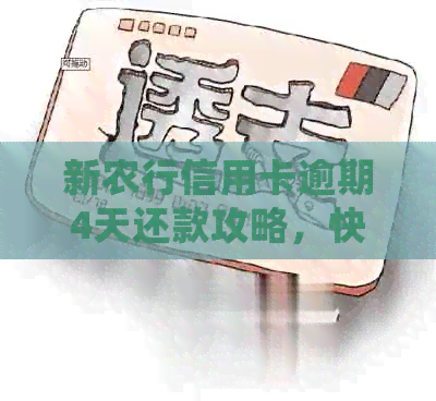 新农行信用卡逾期4天还款攻略，快速处理避免罚息！