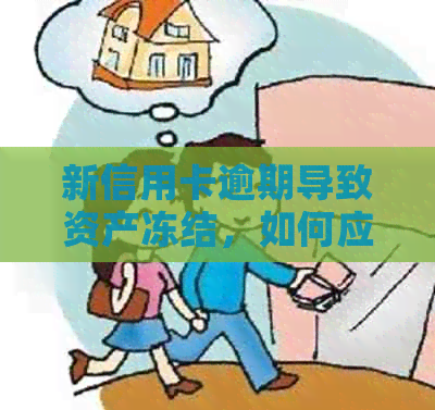 新信用卡逾期导致资产冻结，如何应对及解决？