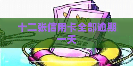 十二张信用卡全部逾期一天