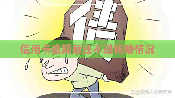 信用卡逾期后还不进钱啥情况