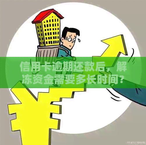 信用卡逾期还款后，解冻资金需要多长时间？