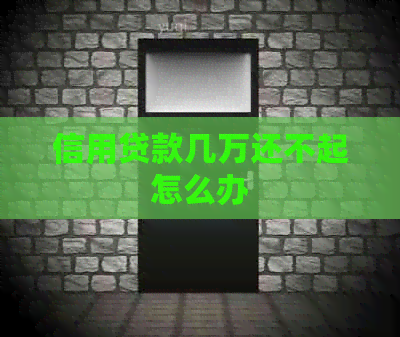 信用贷款几万还不起怎么办