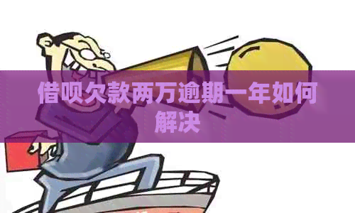网贷欠款两万逾期一年如何解决