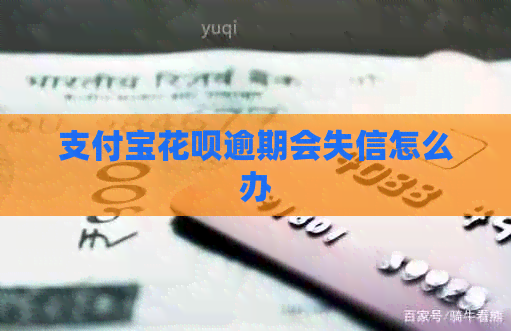 支付宝信用卡逾期会失信怎么办