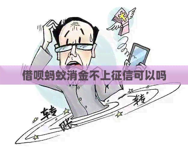 网贷蚂蚁消金不上可以吗