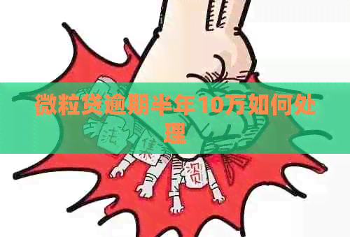 微粒贷逾期半年10万如何处理