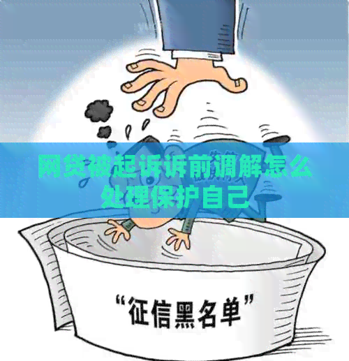 网贷被起诉诉前调解怎么处理保护自己