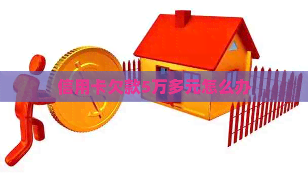 信用卡欠款5万多元怎么办