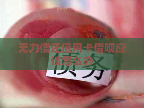 无力偿还信用卡网贷应该怎么办