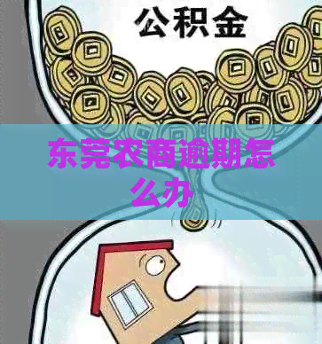 东莞农商逾期怎么办