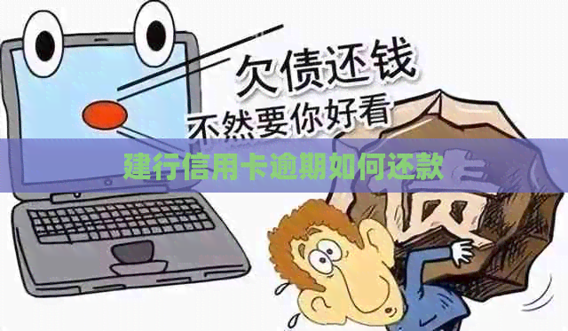 建行信用卡逾期如何还款