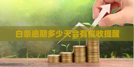 白条逾期多少天会有提醒